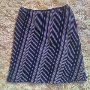 Striped Navy Blue Women's Skirt